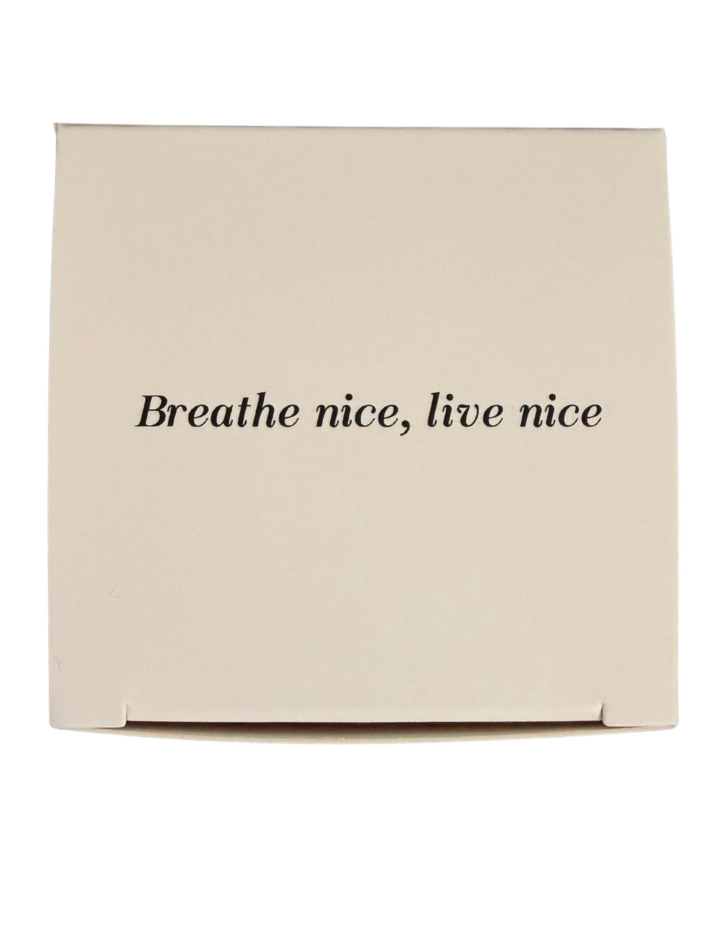 Zen Air 淨界 除甲醛除味凝膠