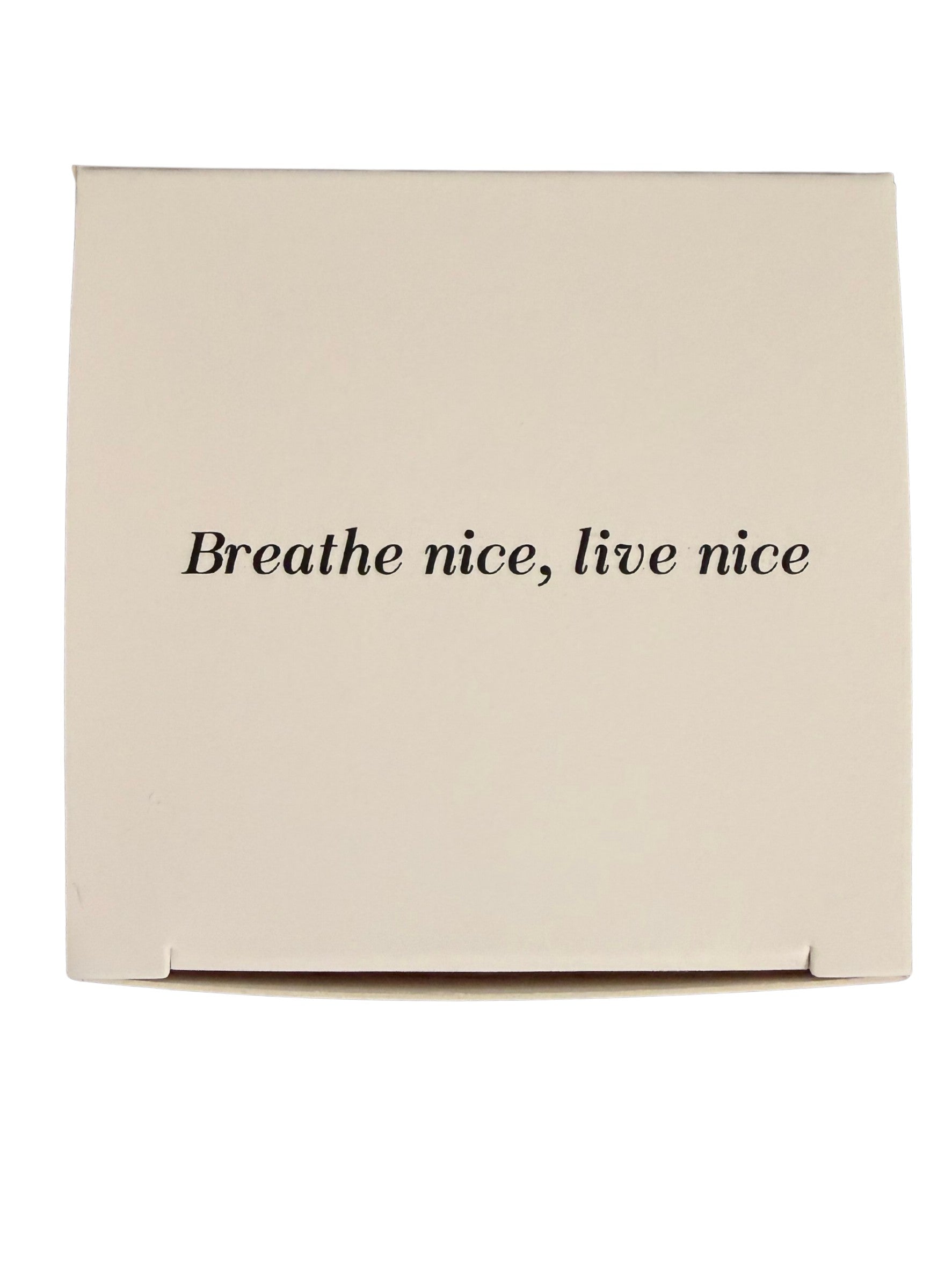 Zen Air 淨界 除甲醛除味凝膠